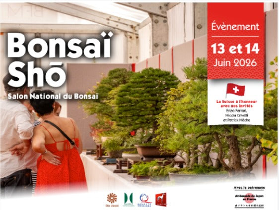 Shō Bonsai